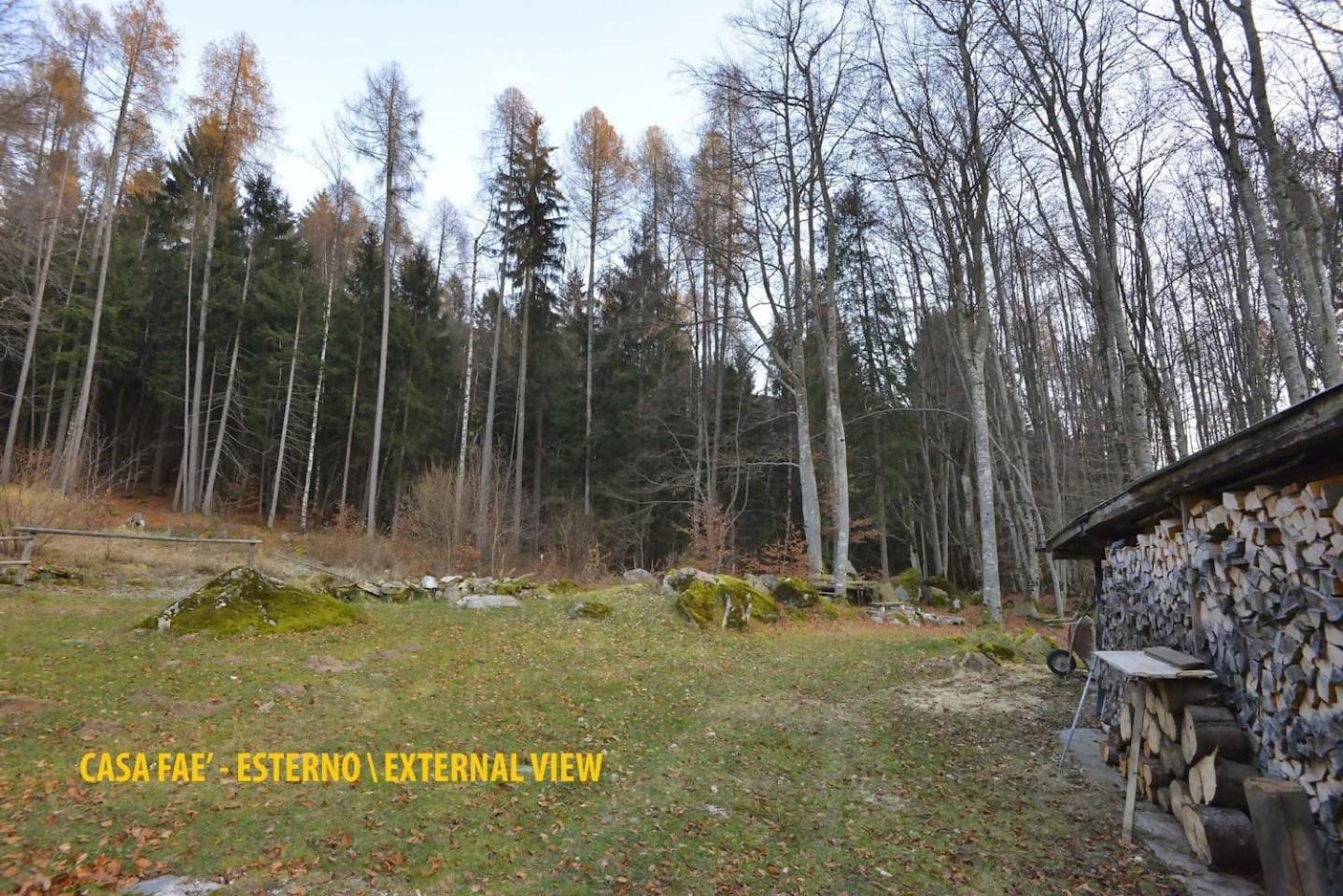 Apartament Casa Fae Dolomiti Madonna Zewnętrze zdjęcie